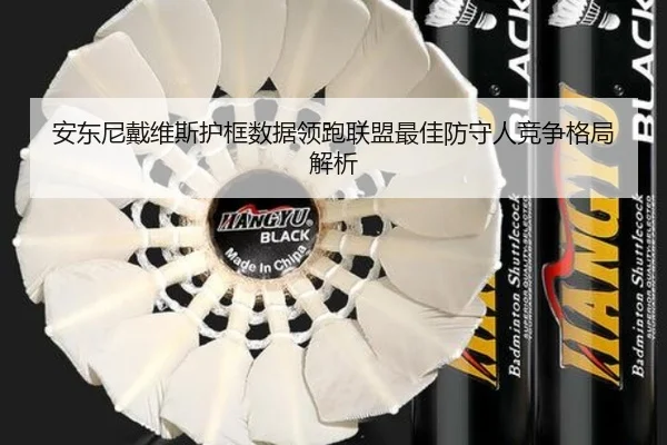 安东尼戴维斯护框数据领跑联盟最佳防守人竞争格局解析