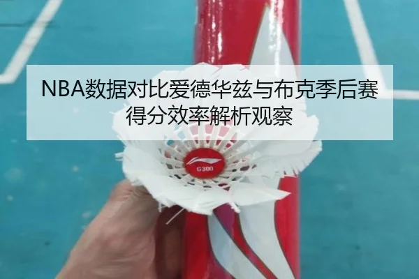 NBA数据对比爱德华兹与布克季后赛得分效率解析观察